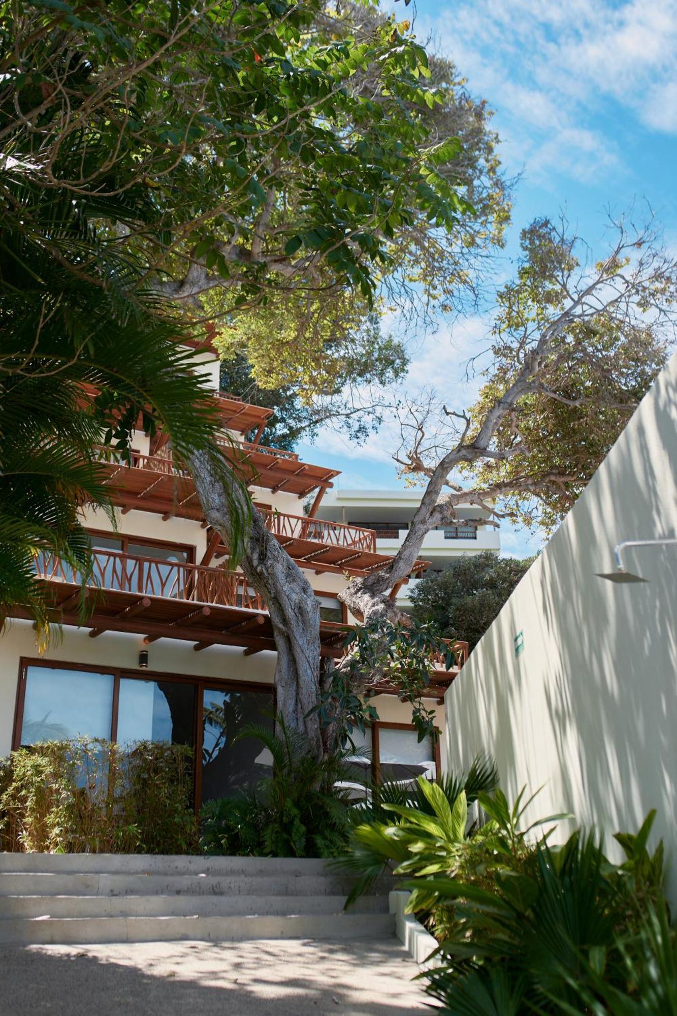 Ysuri Sayulita - Beachfront Hotel Exterior foto